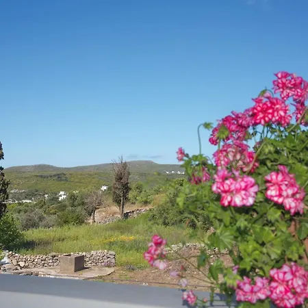 Vikentios Daire Katsounion