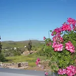 Vikentios Apartament Katsounion