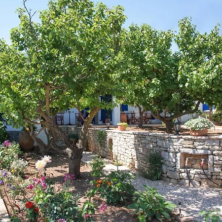 Apartamento Vikentios Katsounion