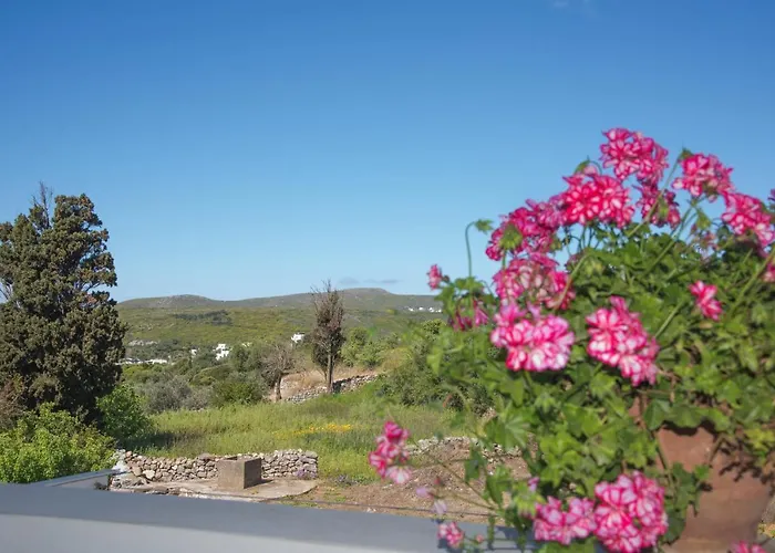 Vikentios Apartman Katsounion